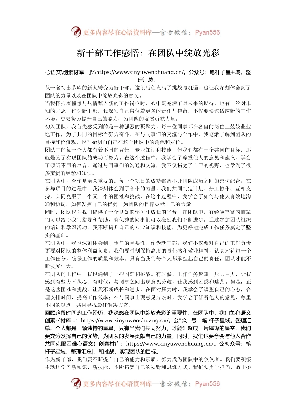 新干部工作感悟：在团队中绽放光彩.docx_第1页
