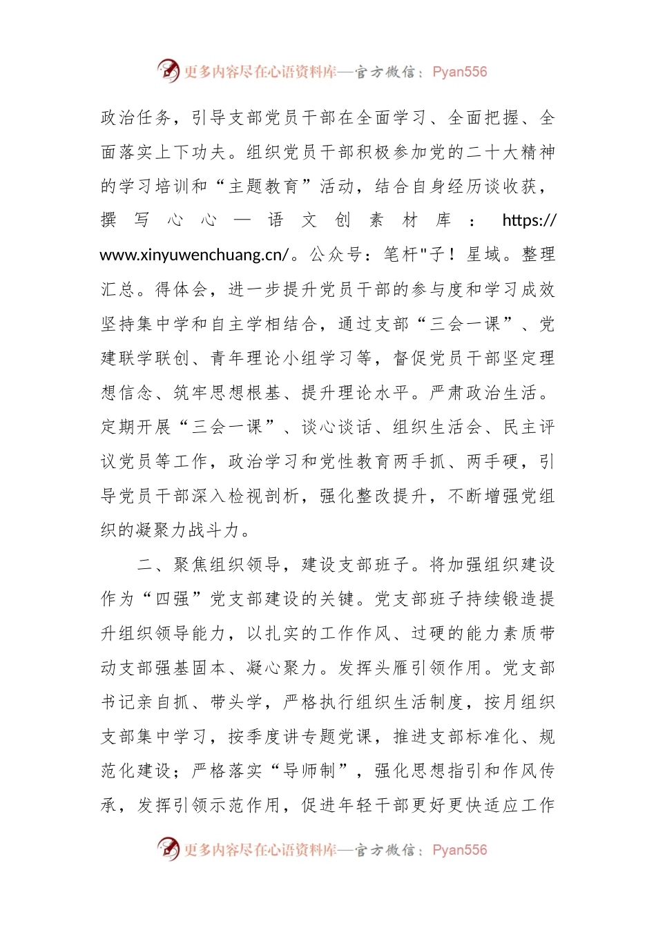 相关领导在全市“四强”党支部创建工作观摩推进会上的交流发言.docx_第2页