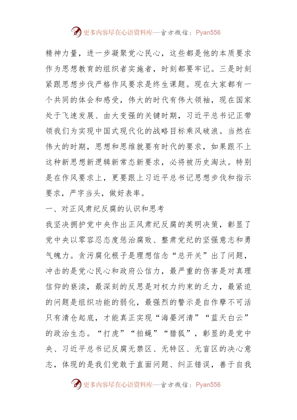 正风肃纪专题教育整顿对照检查材料.docx_第2页