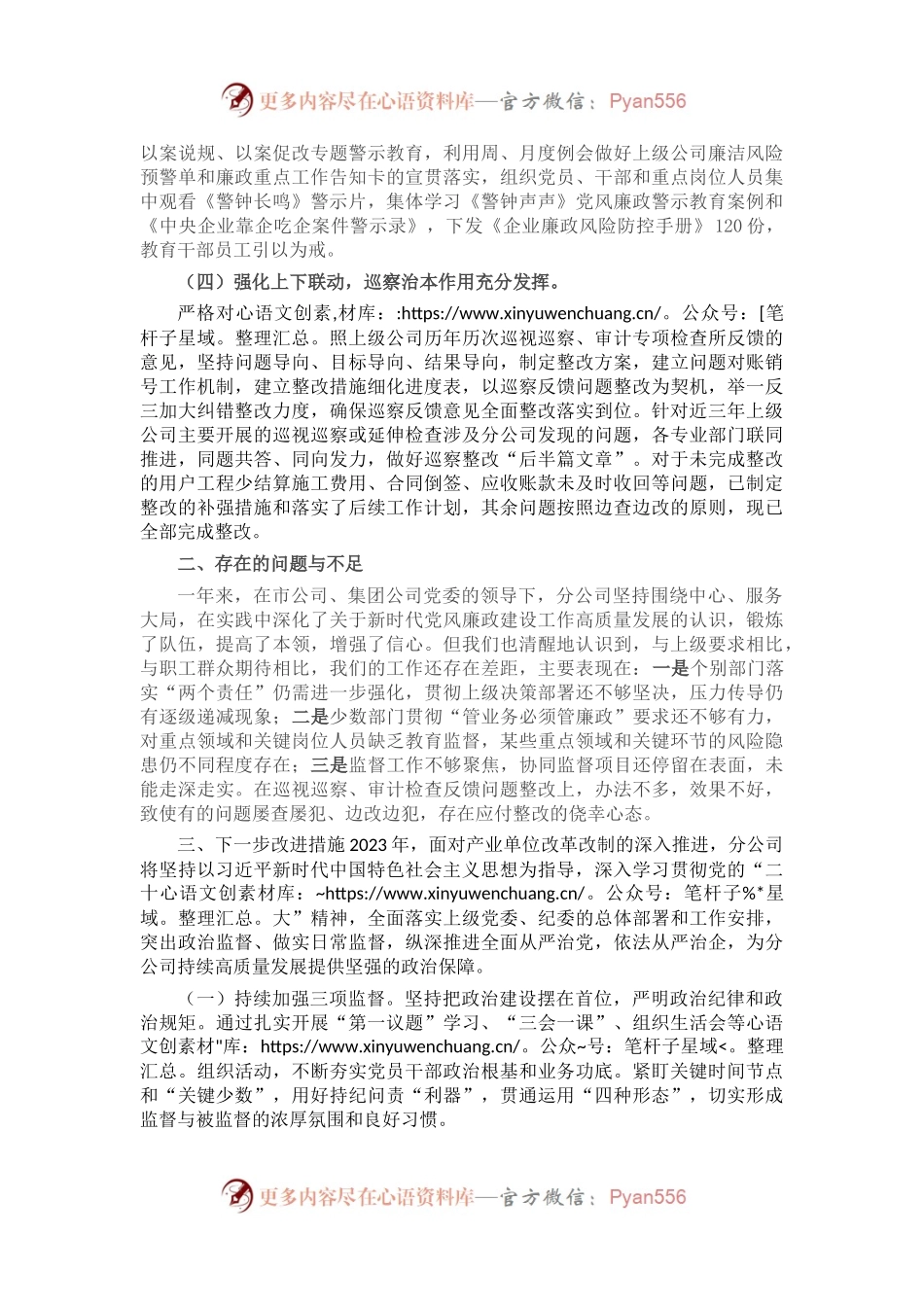 某企业2022年度党支部履行全面从严治党监督责任情况报告.docx_第2页