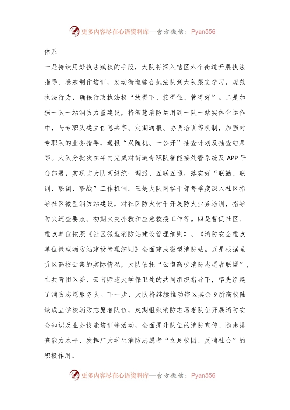 消防安全治理经验交流会材料.docx_第2页
