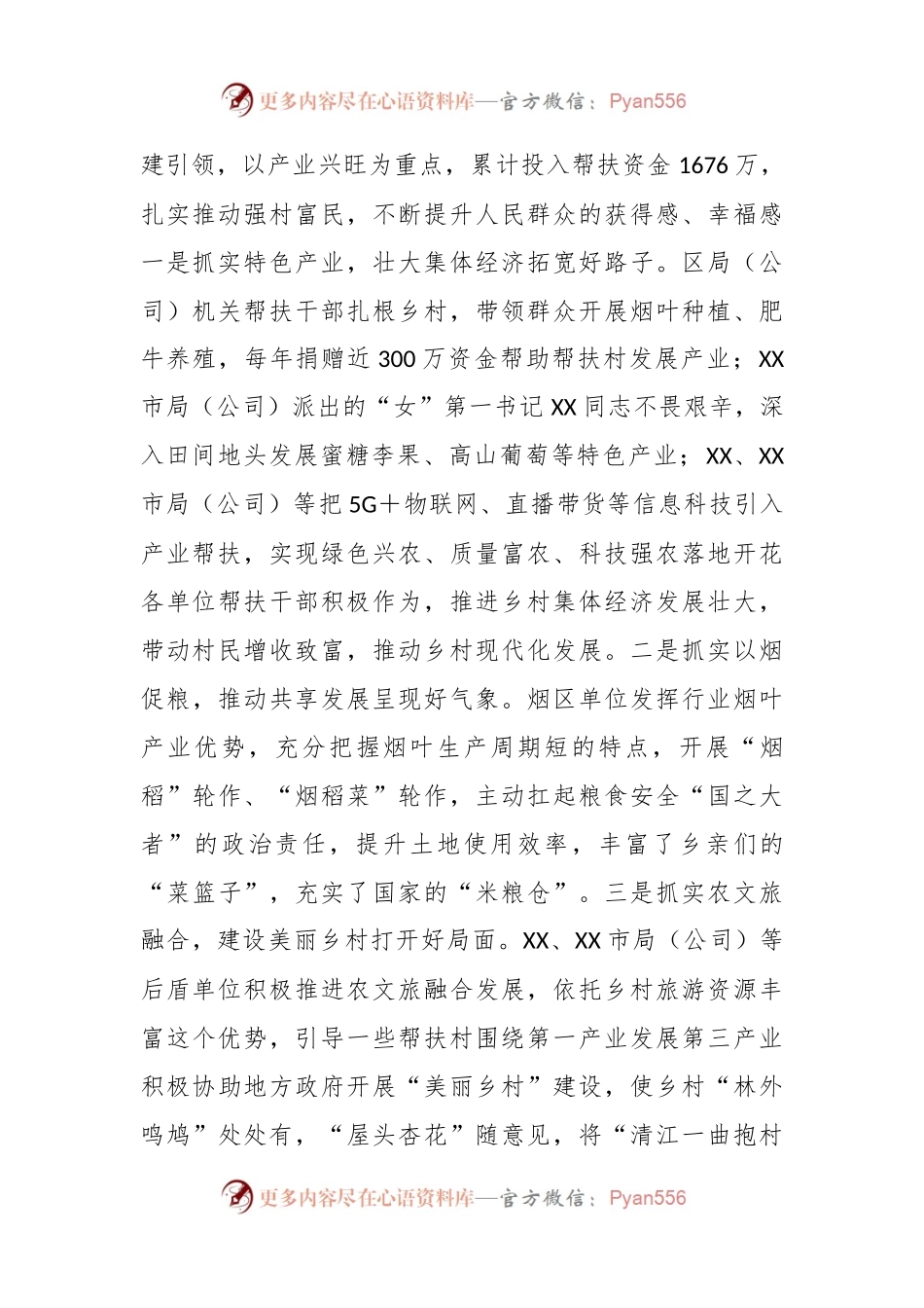 有关烟草商业系统乡村振兴工作暨新选派驻村干部专题培训班上的讲话.docx_第2页