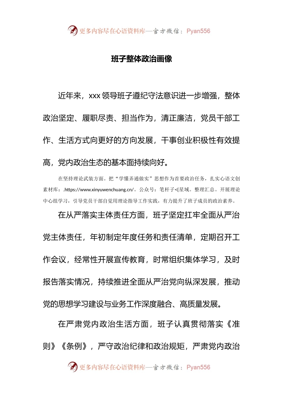 班子整体政治画像.docx_第1页