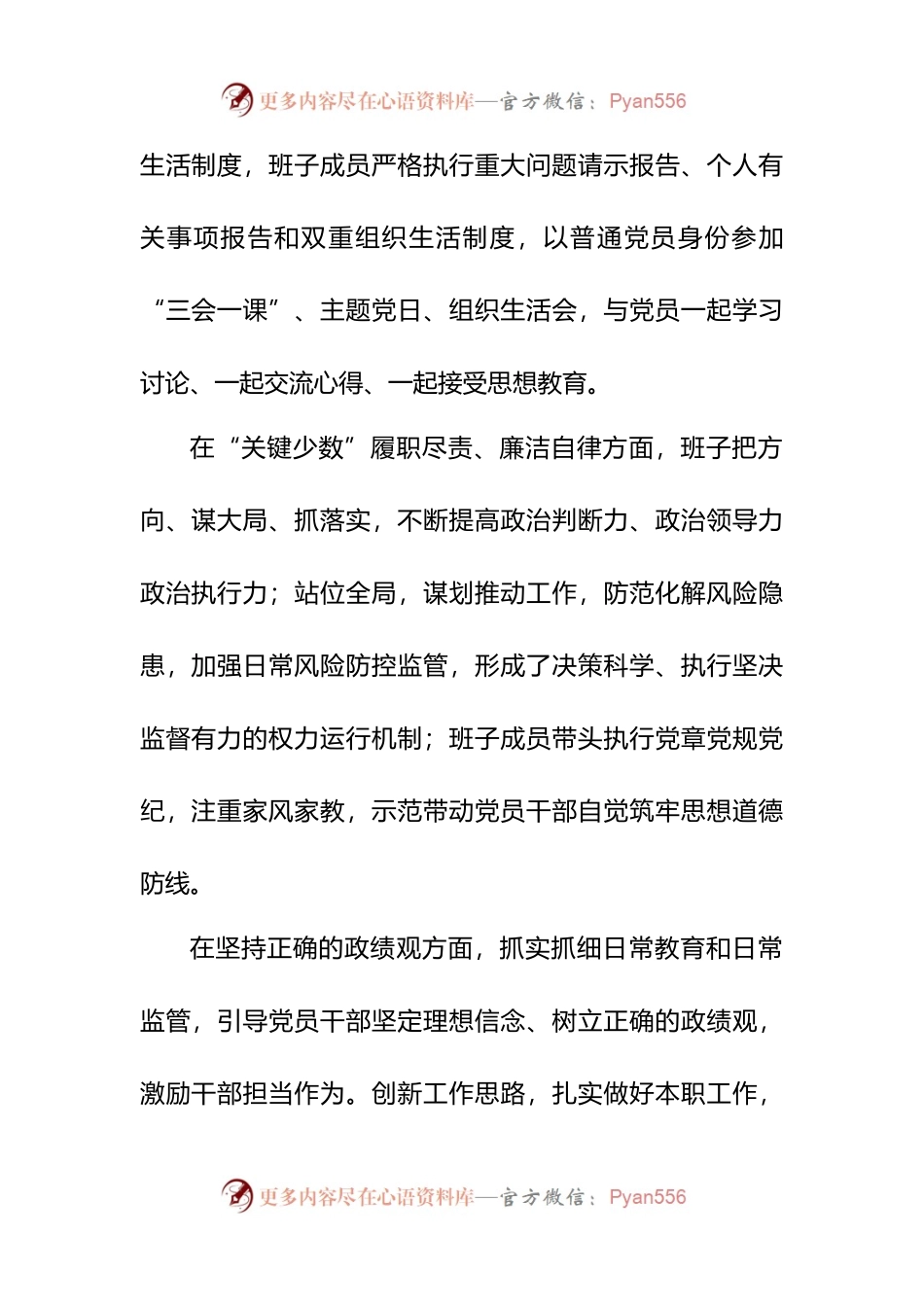 班子整体政治画像.docx_第2页