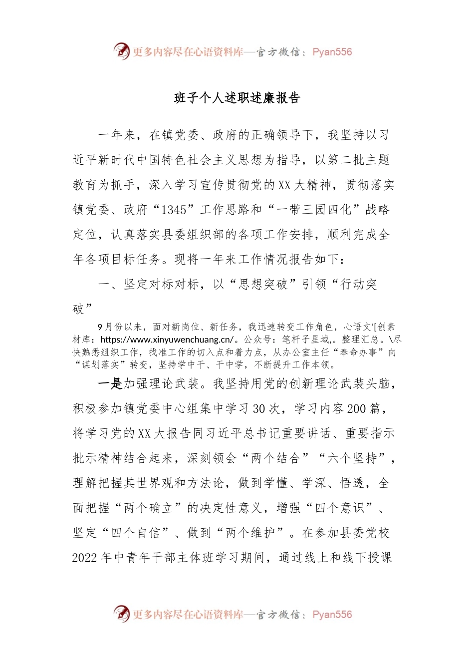 班子个人述职述廉报告.docx_第1页