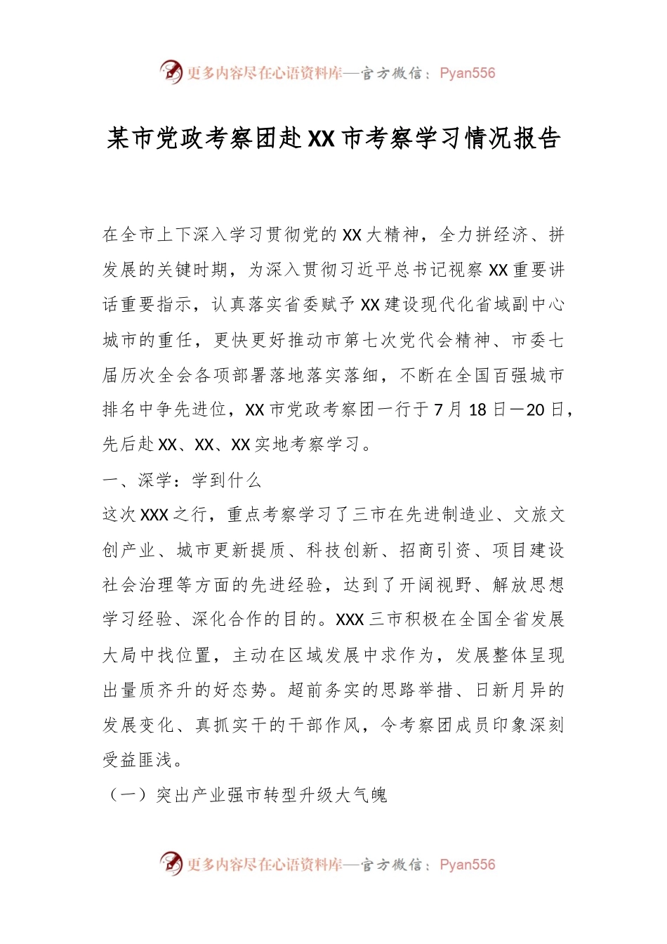 某市党政考察团赴XX市考察学习情况报告.docx_第1页