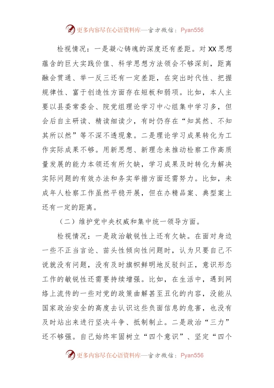 检察院检察长2023年度主题教育专题民主生活会发言稿提纲（践行宗旨等6个方面+典型案例+形式主义+意识形态+共同体意识）.docx_第2页