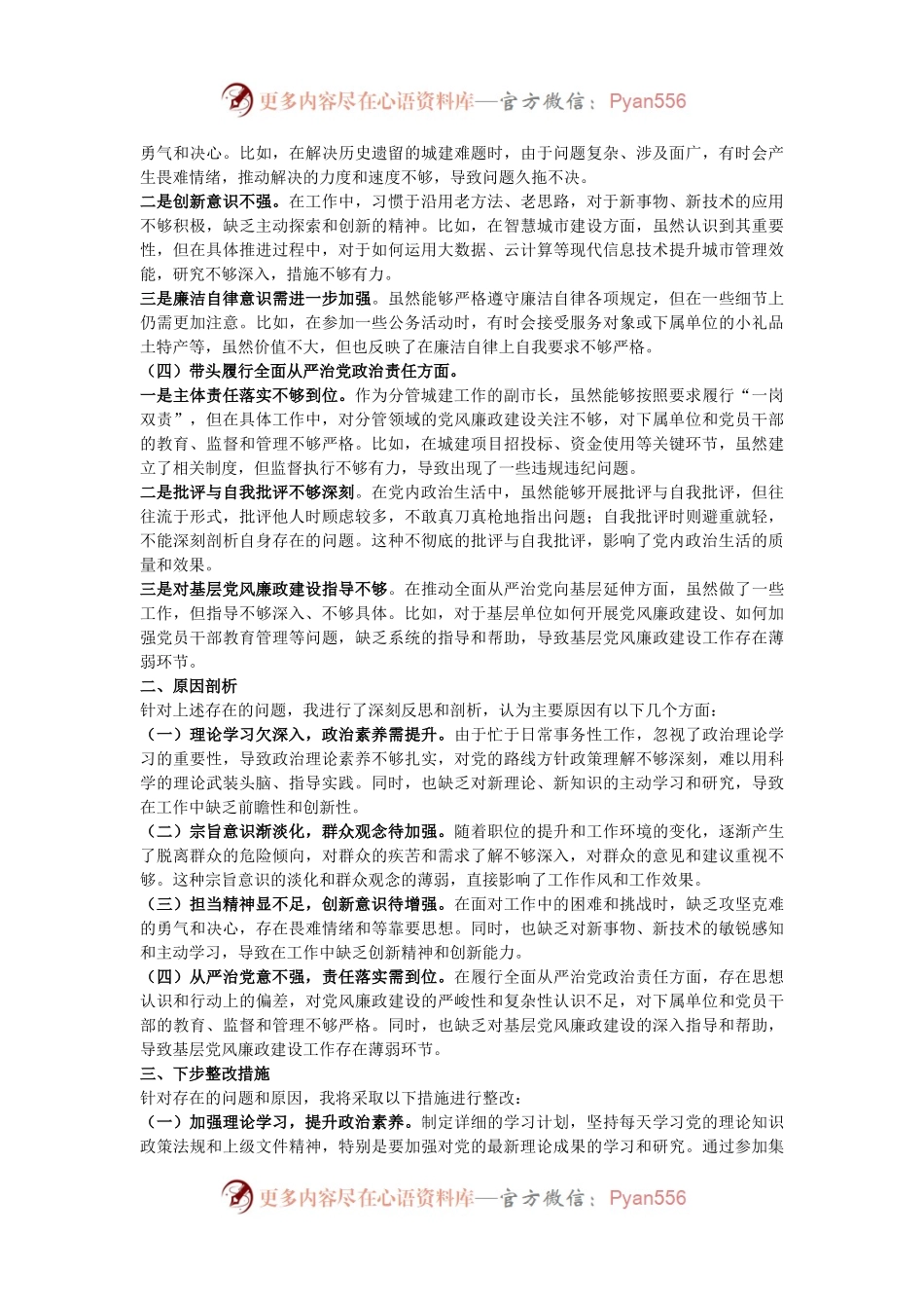 某分管城建工作副市长2024年民主生活会对照检查材料.docx_第2页