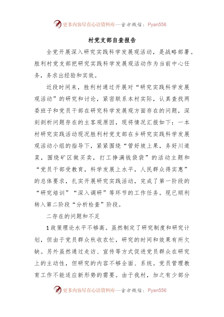 村党支部自查报告.docx_第1页