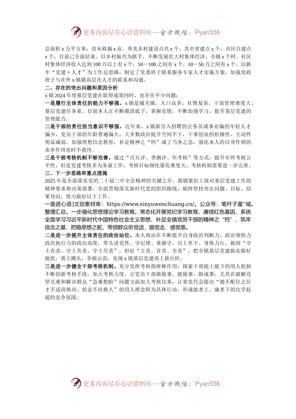 村党支部书记2024年度抓基层党建工作述职报告.docx_第2页