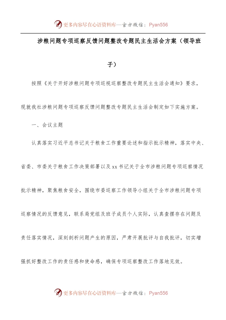 涉粮问题专项巡察反馈问题整改专题民主生活会方案[领导班子].docx_第1页