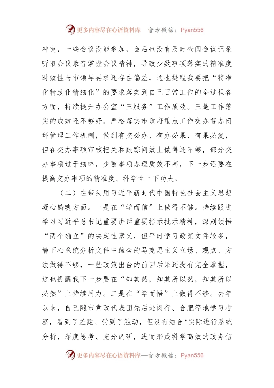 民主生活会对照检查材料发言稿提纲.docx_第2页