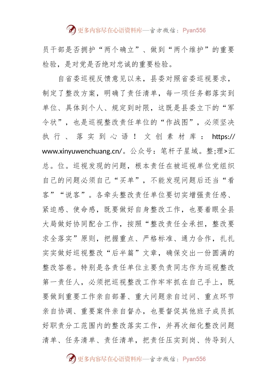 相关领导巡视整改工作专题会上的讲话.docx_第2页