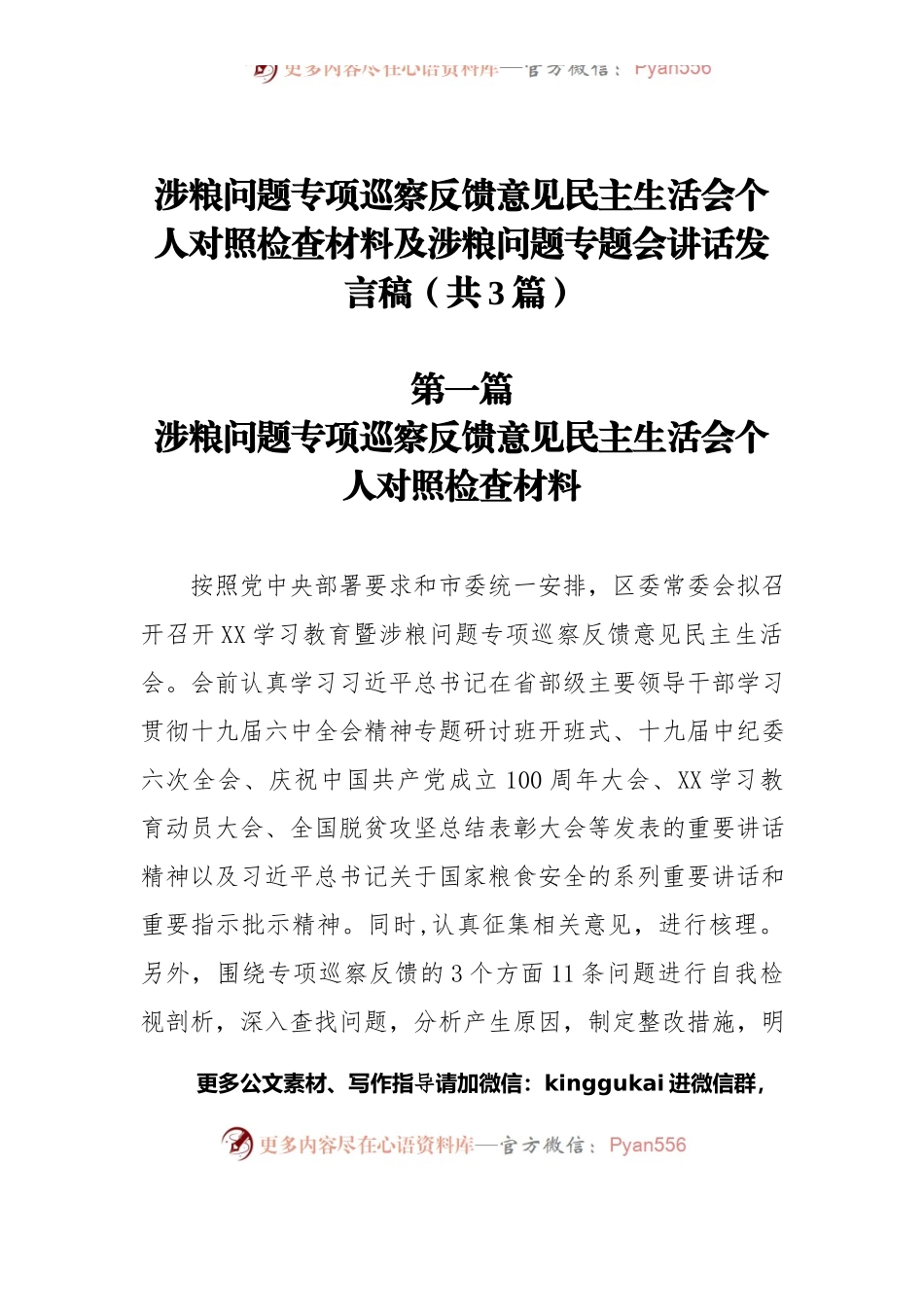 涉粮问题专项巡察反馈意见民主生活会个人对照检查材料及涉粮问题专题会讲话发言稿（共3篇）.docx_第1页