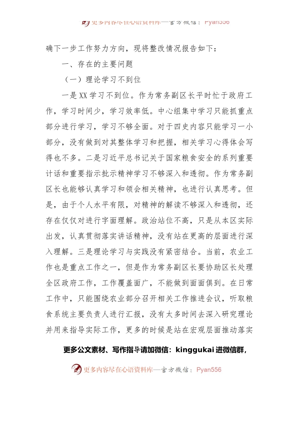 涉粮问题专项巡察反馈意见民主生活会个人对照检查材料及涉粮问题专题会讲话发言稿（共3篇）.docx_第2页