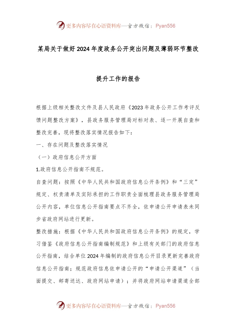 某局关于做好2024年度政务公开突出问题及薄弱环节整改提升工作的报告.docx_第1页