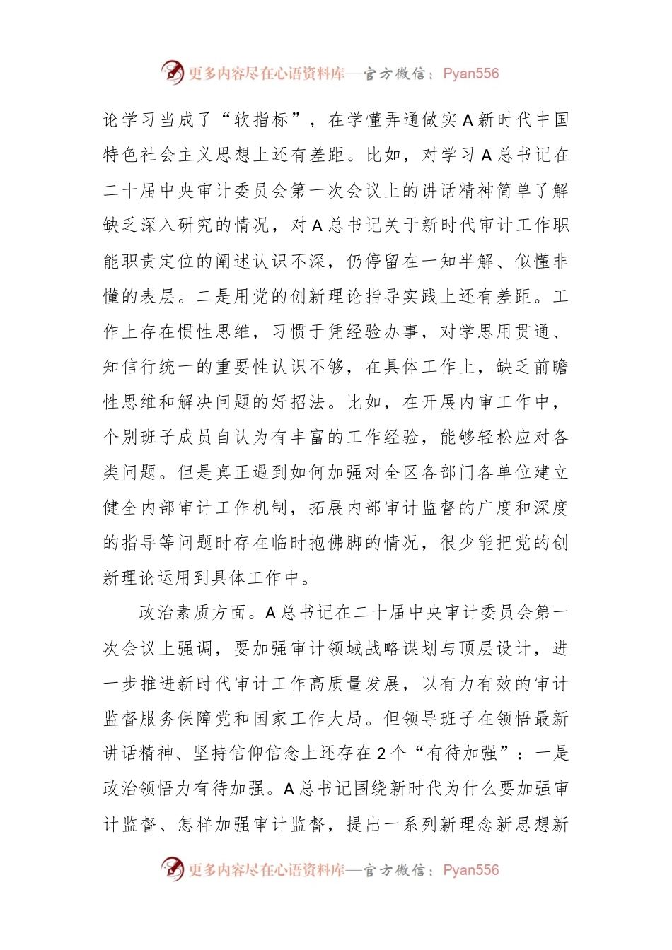 本年度审计局党组主题教育民主生活会对照检查.docx_第2页