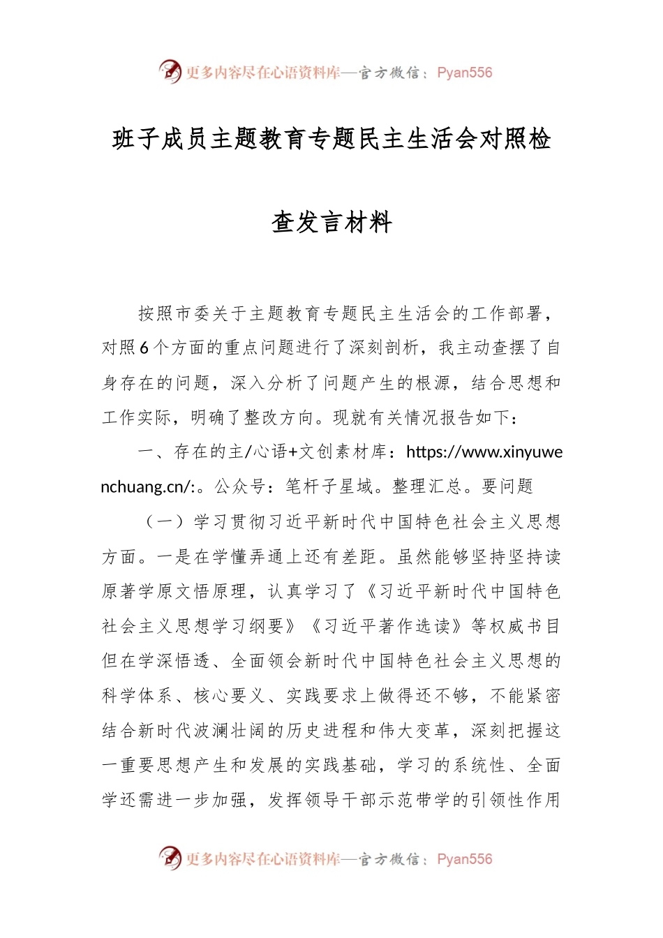 班子成员主题教育专题民主生活会对照检查发言稿材料.docx_第1页