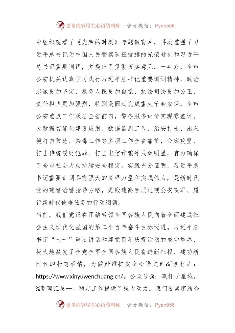 某市副市长、公安局长在局党委理论中心组学习会上的讲话.docx_第2页