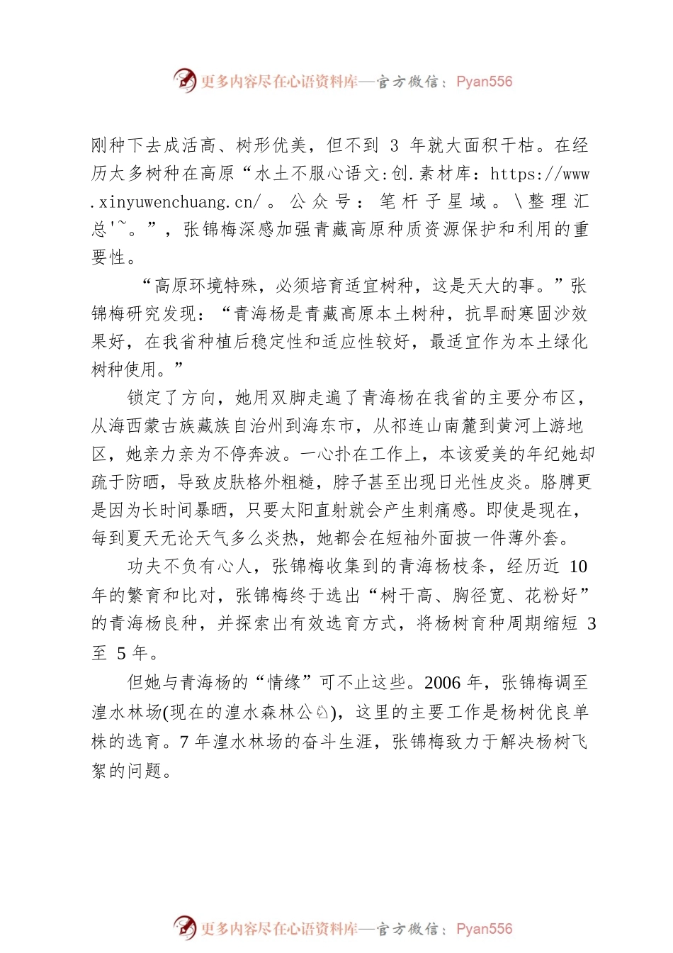 用乡土树种筑起高原“绿色长城”——张锦梅先进事迹系列报道之四.docx_第2页