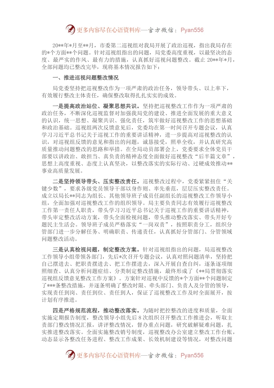 某局巡视整改进展情况报告.docx_第1页