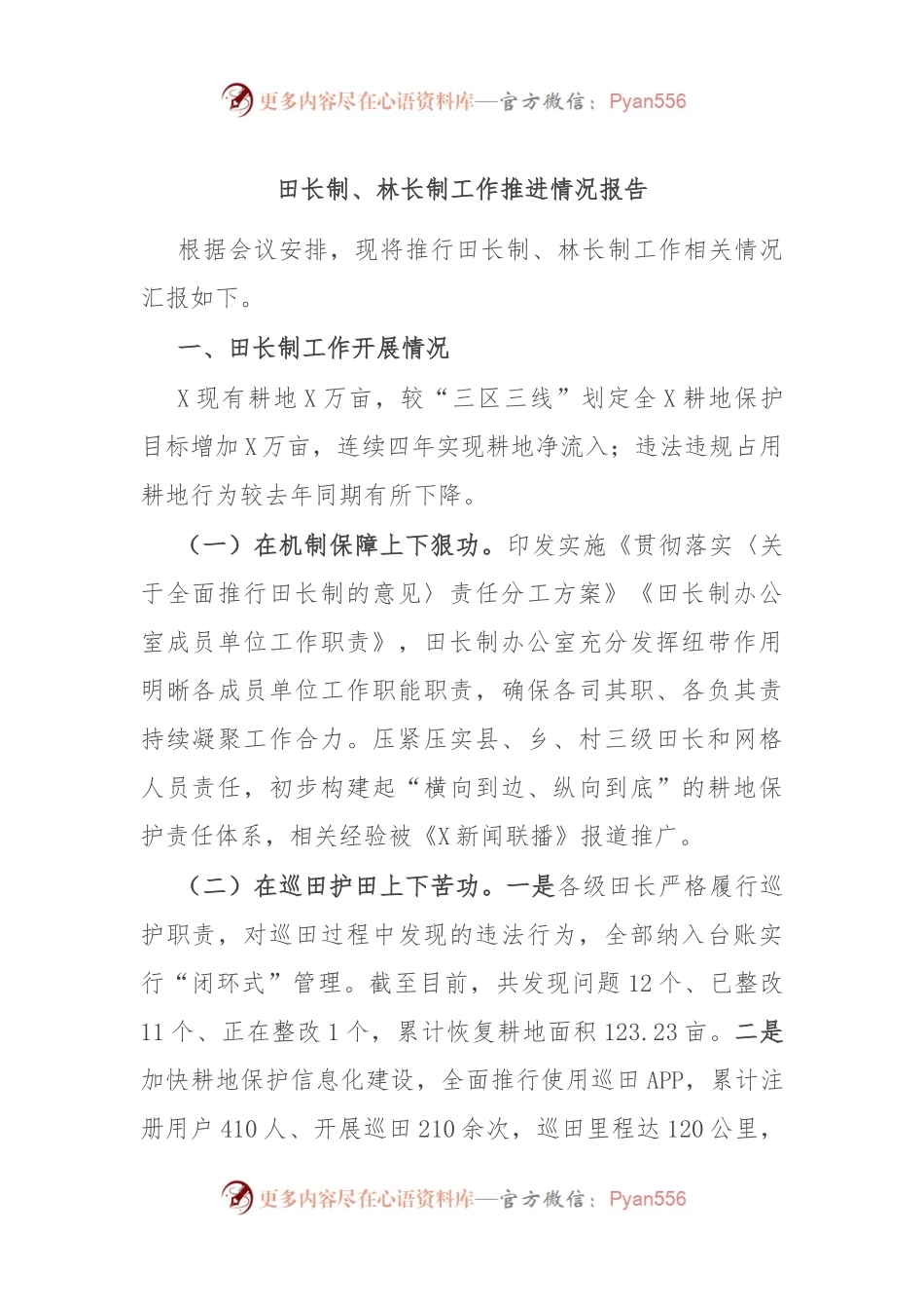 田长制、林长制工作推进情况报告.docx_第1页