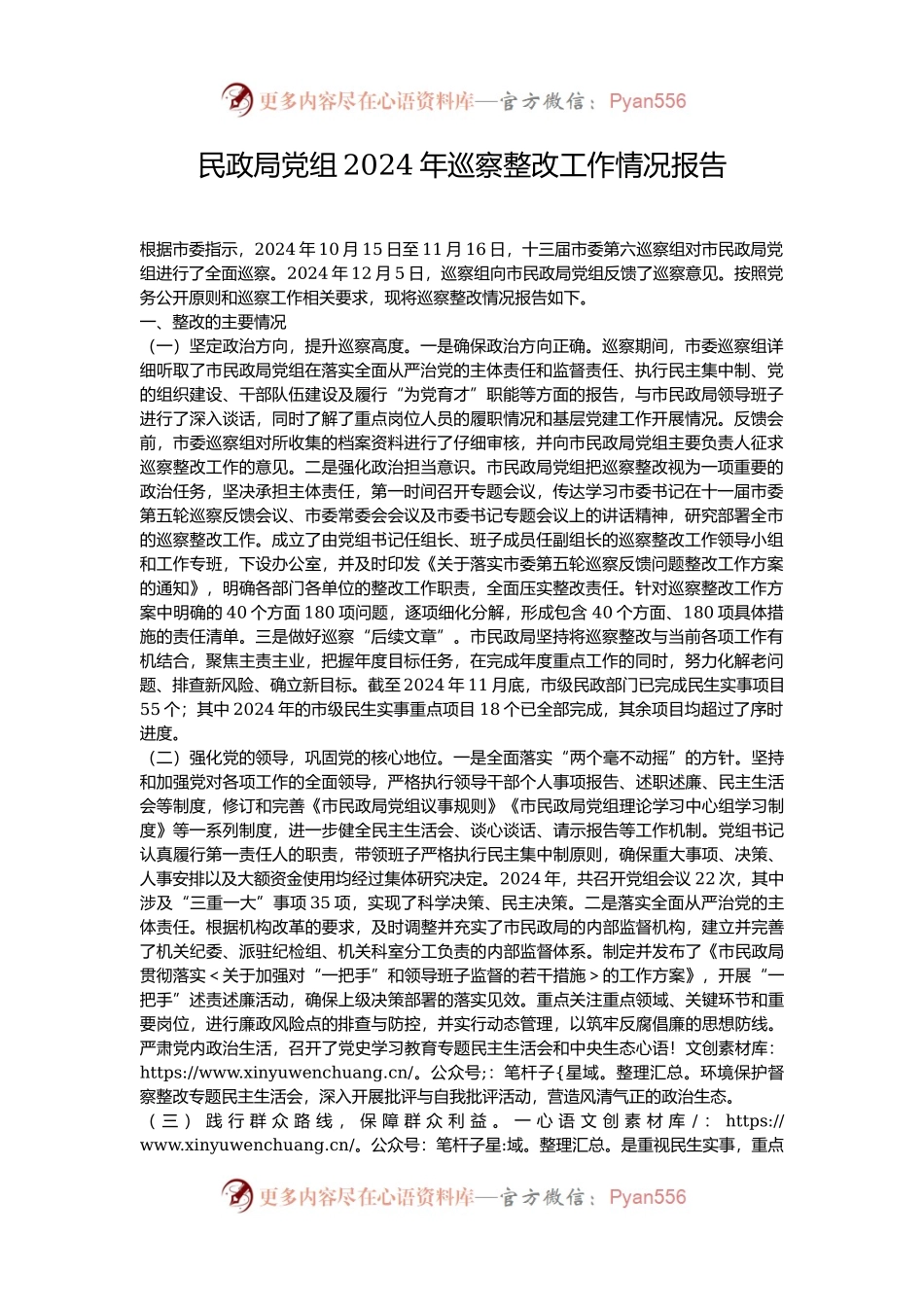 民政局党组2024年巡察整改工作情况报告.docx_第1页