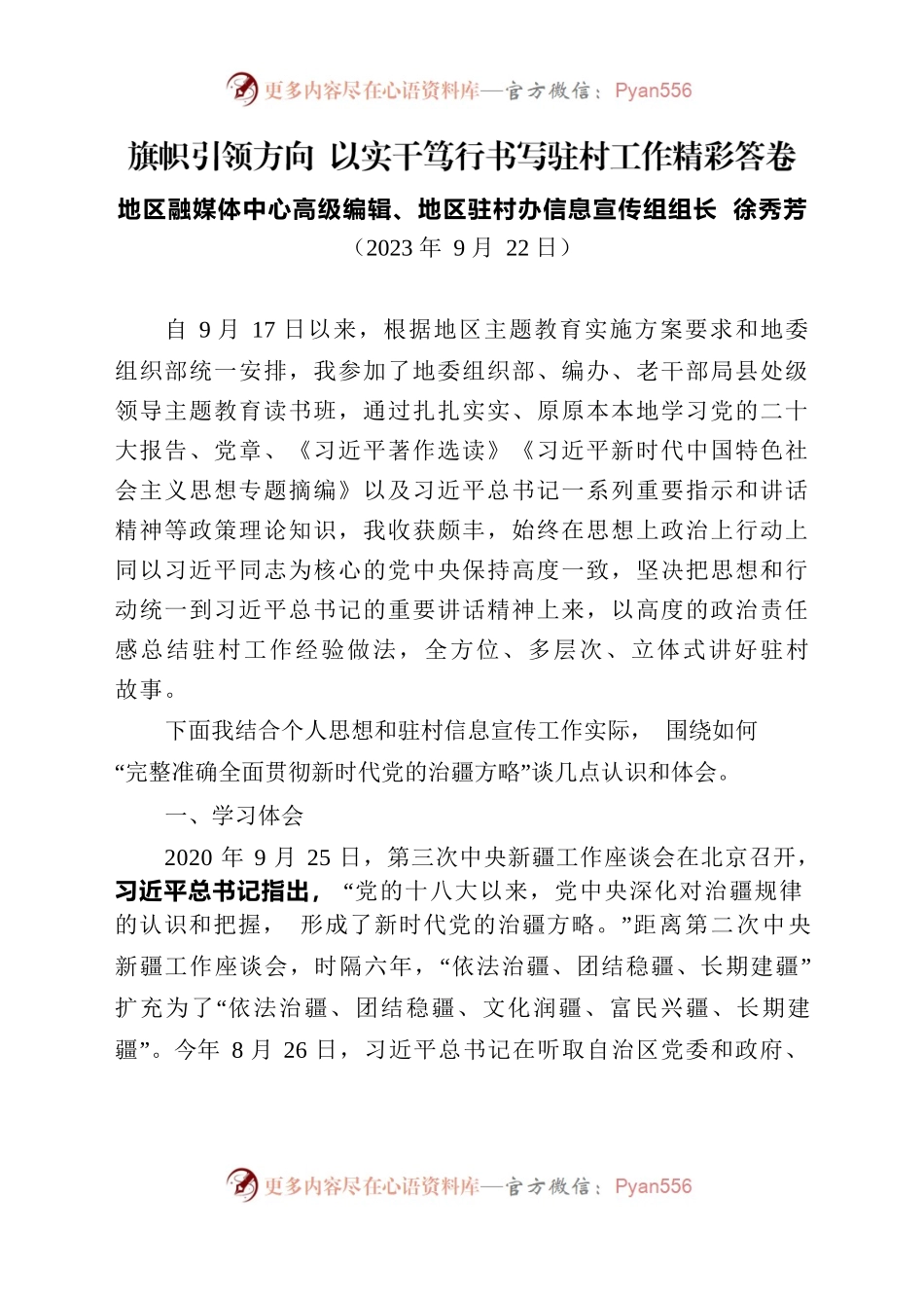 旗帜引领方向 以实干笃行书写驻村工作精彩答卷-主题教育研讨材料.docx_第1页