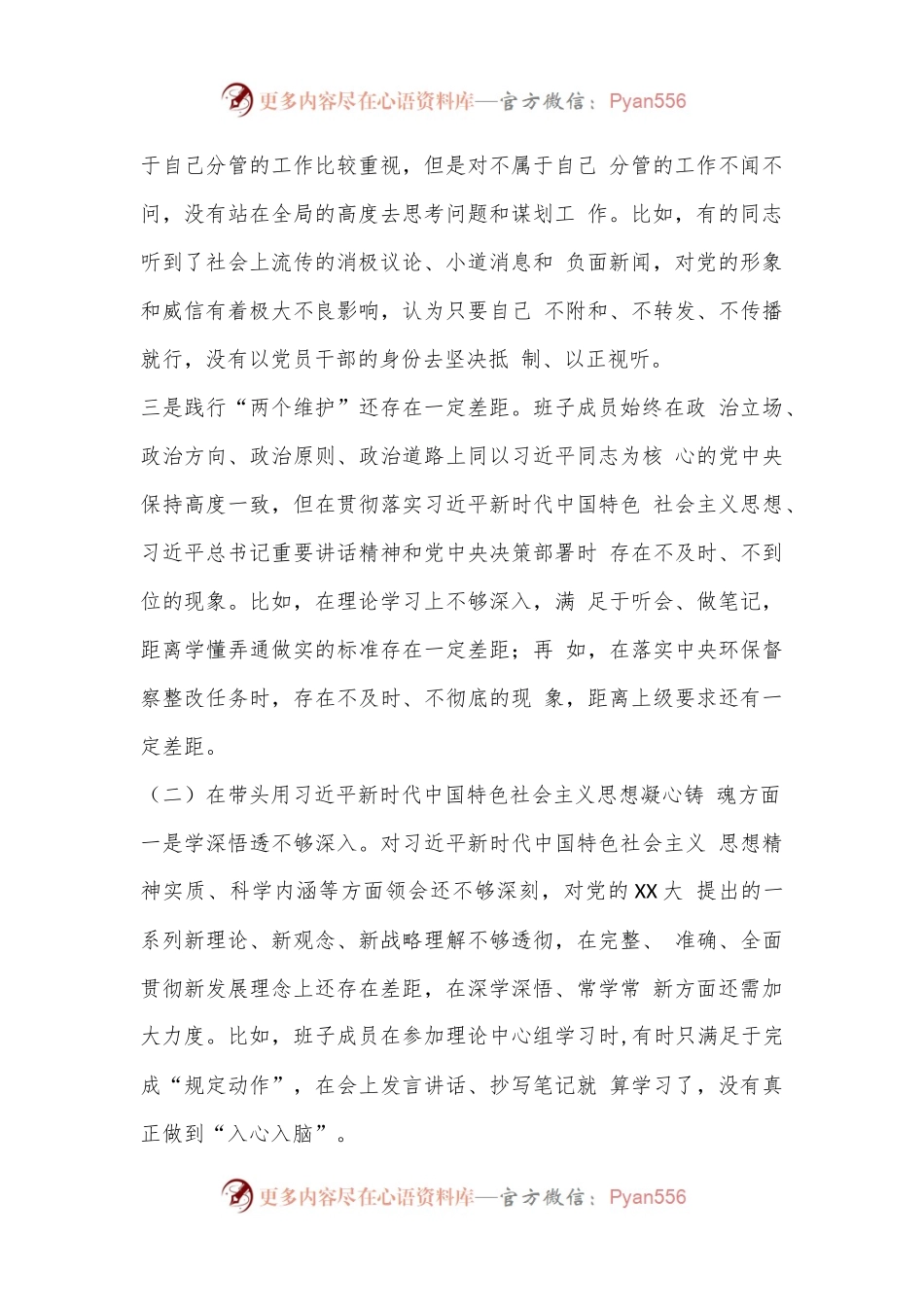 某市政府领导班子2022年度民主生活会对照检查材料（全文5646字）.docx_第2页