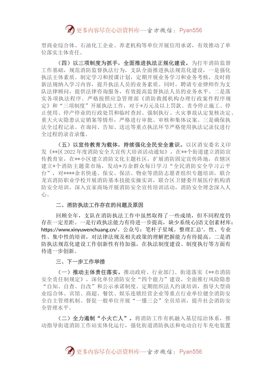 消防救援支队2022年行政执法工作情况报告.docx_第2页
