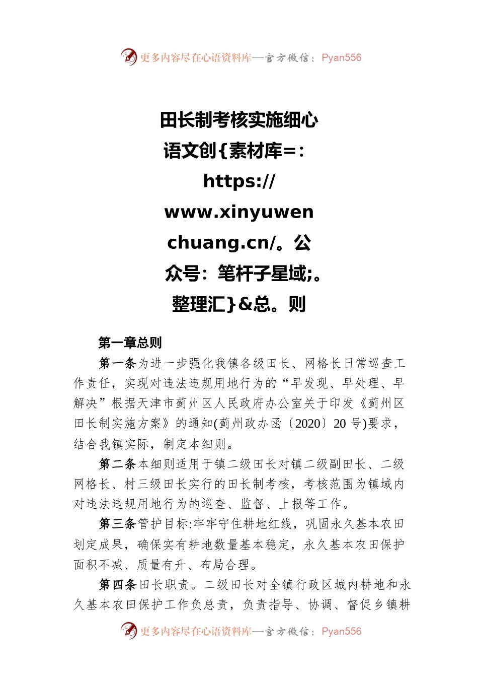 田长制考核实施细则.docx_第1页