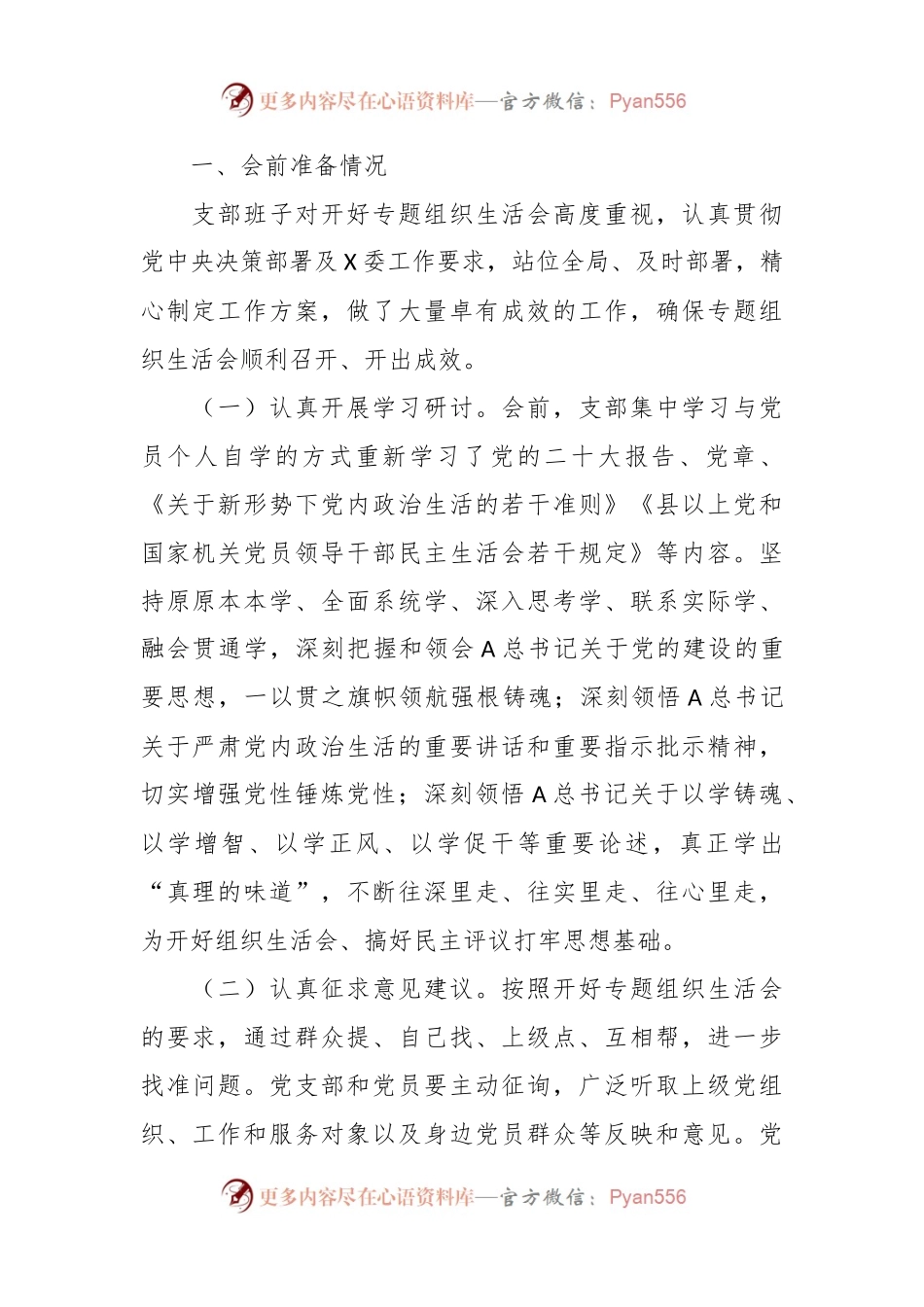有关党支部2023年专题组织生活会 情况报告.docx_第2页