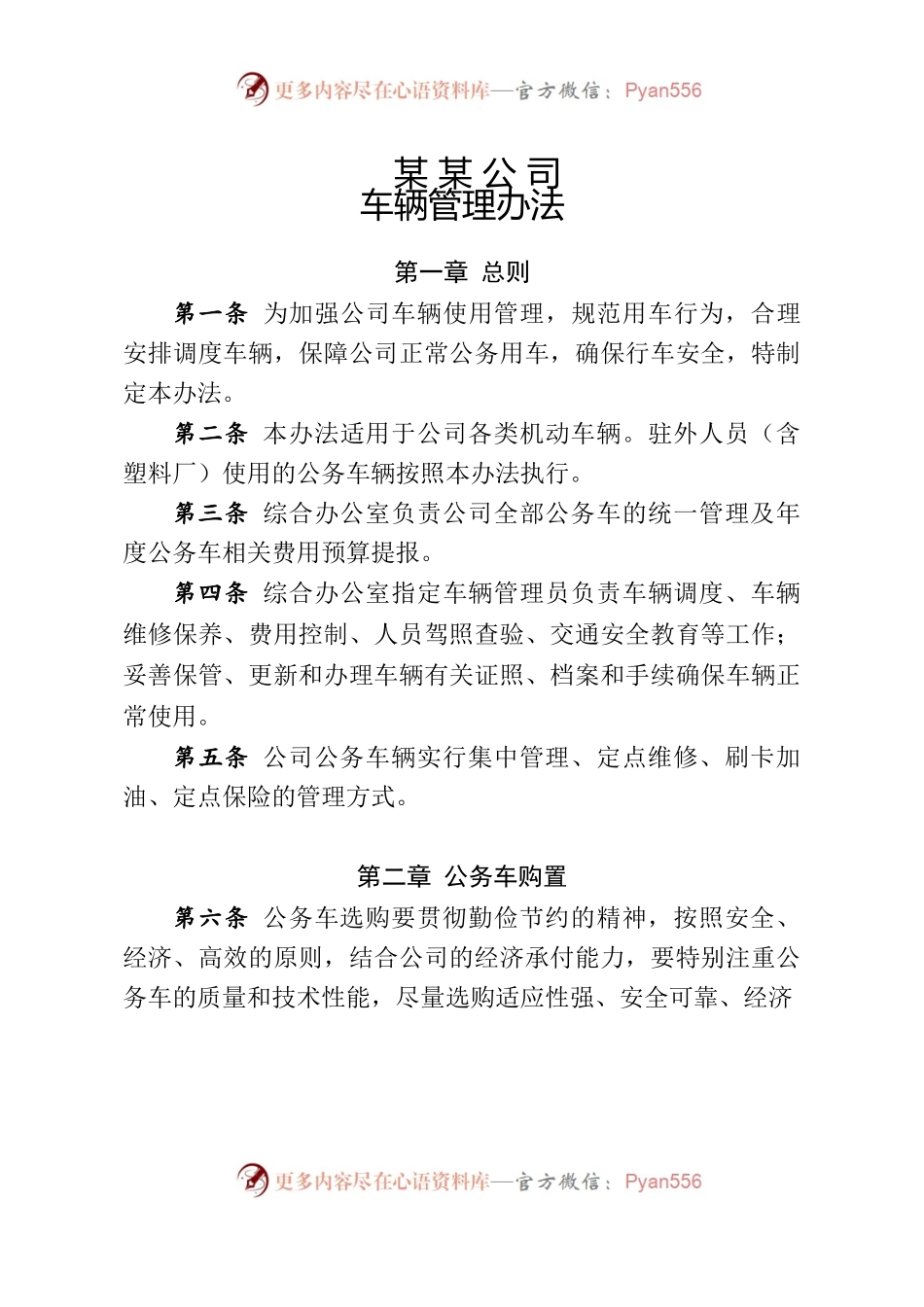 某某公司 车辆管理办法.docx_第1页