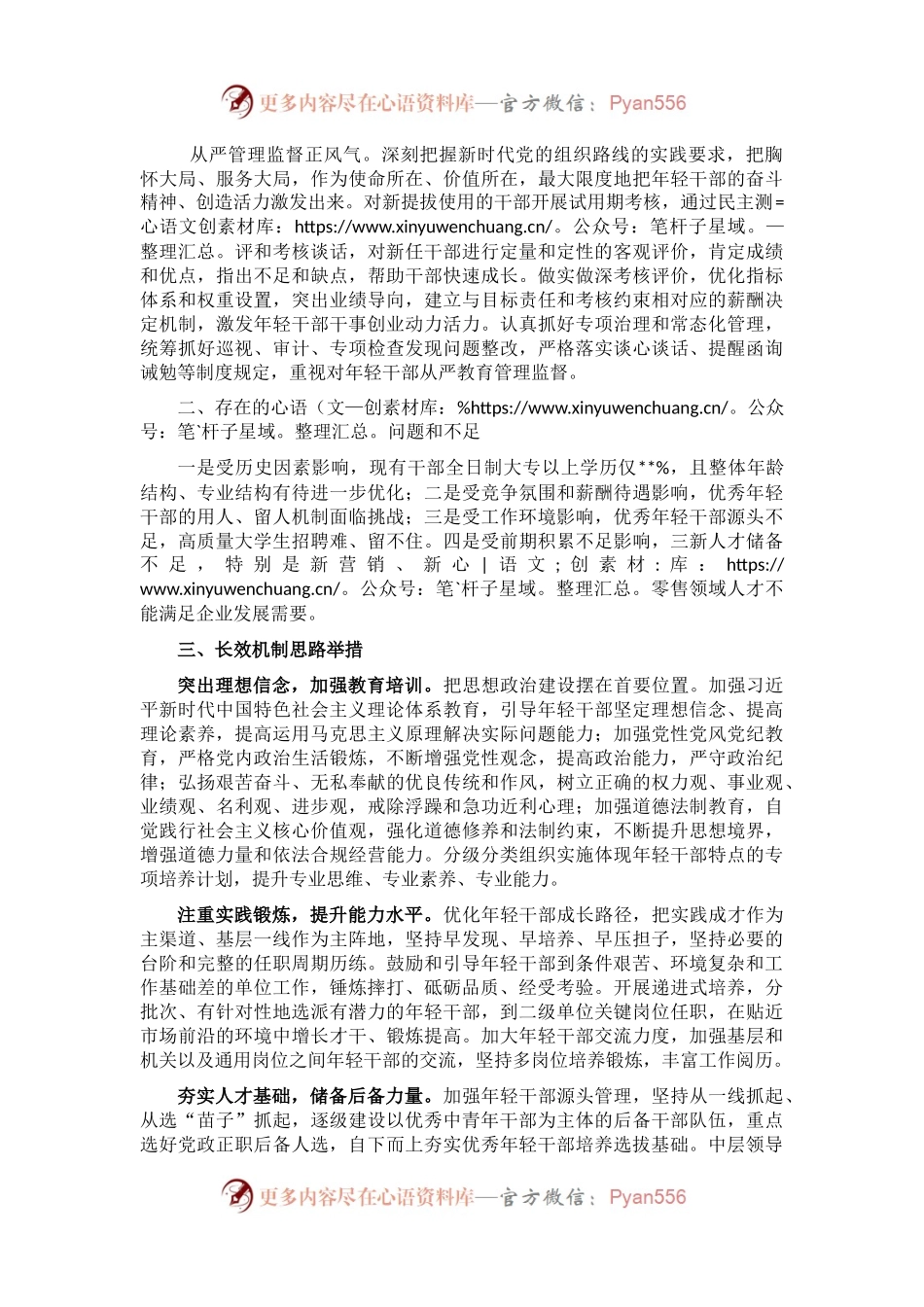 某国企优秀年轻干部队伍建设调研报告.docx_第2页