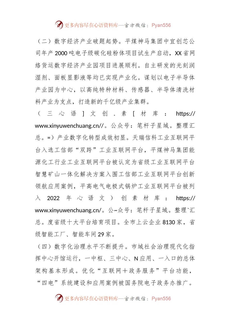 某代表市政协经济委员会的发言：加快数字化转型打造发展新引擎.docx_第2页