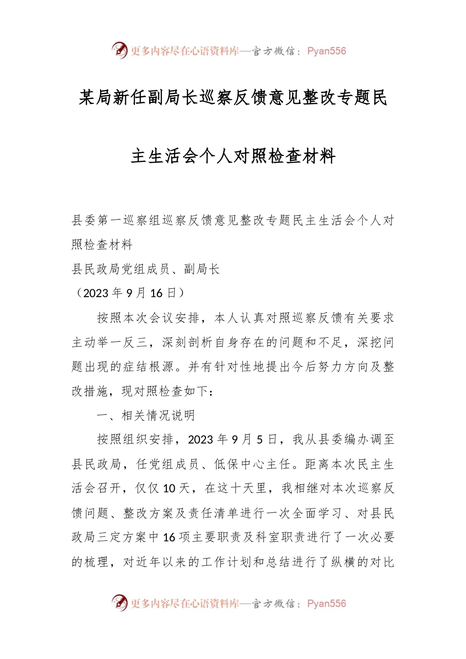 某局新任副局长巡察反馈意见整改专题民主生活会个人对照检查材料.docx_第1页
