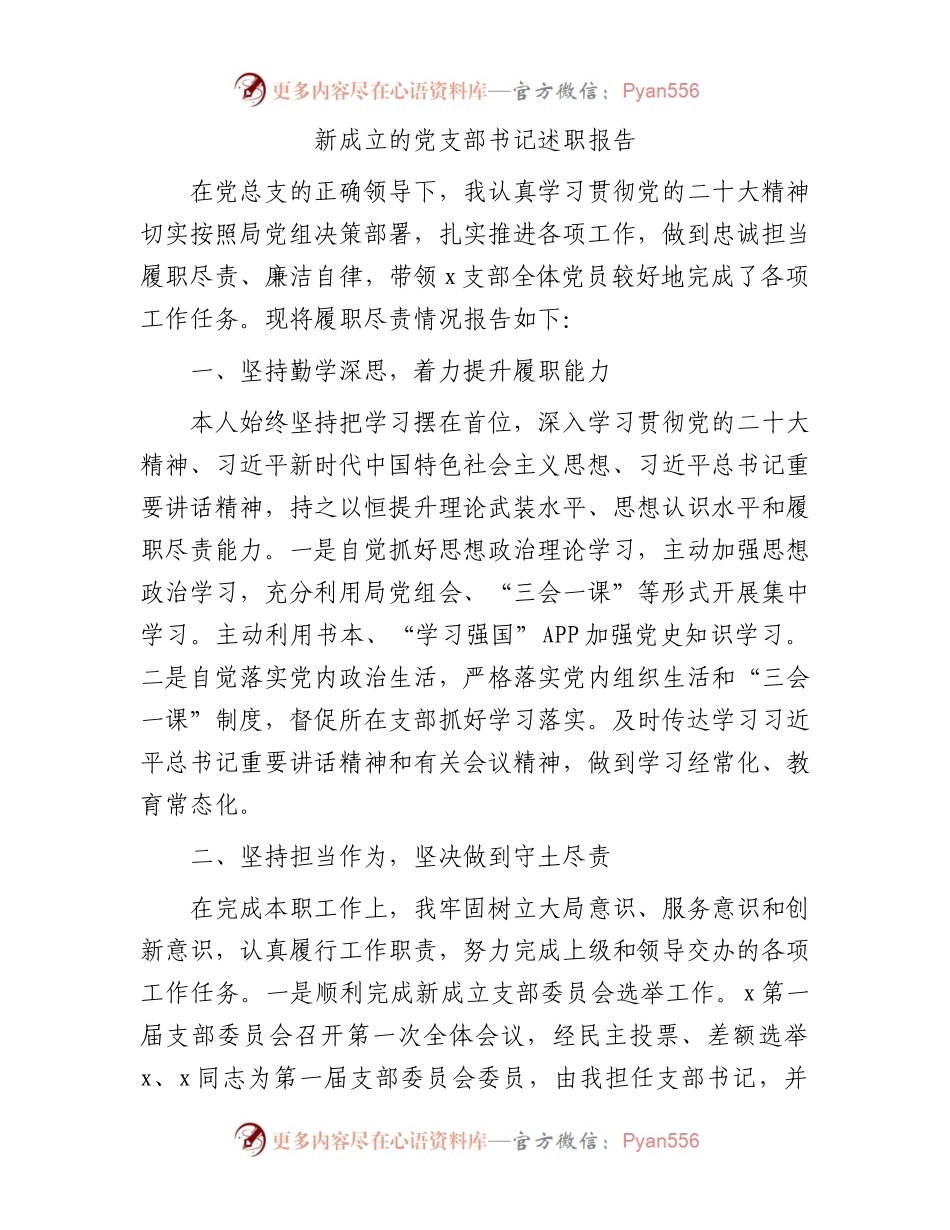 新成立的党支部书记述职报告1100字.docx_第1页