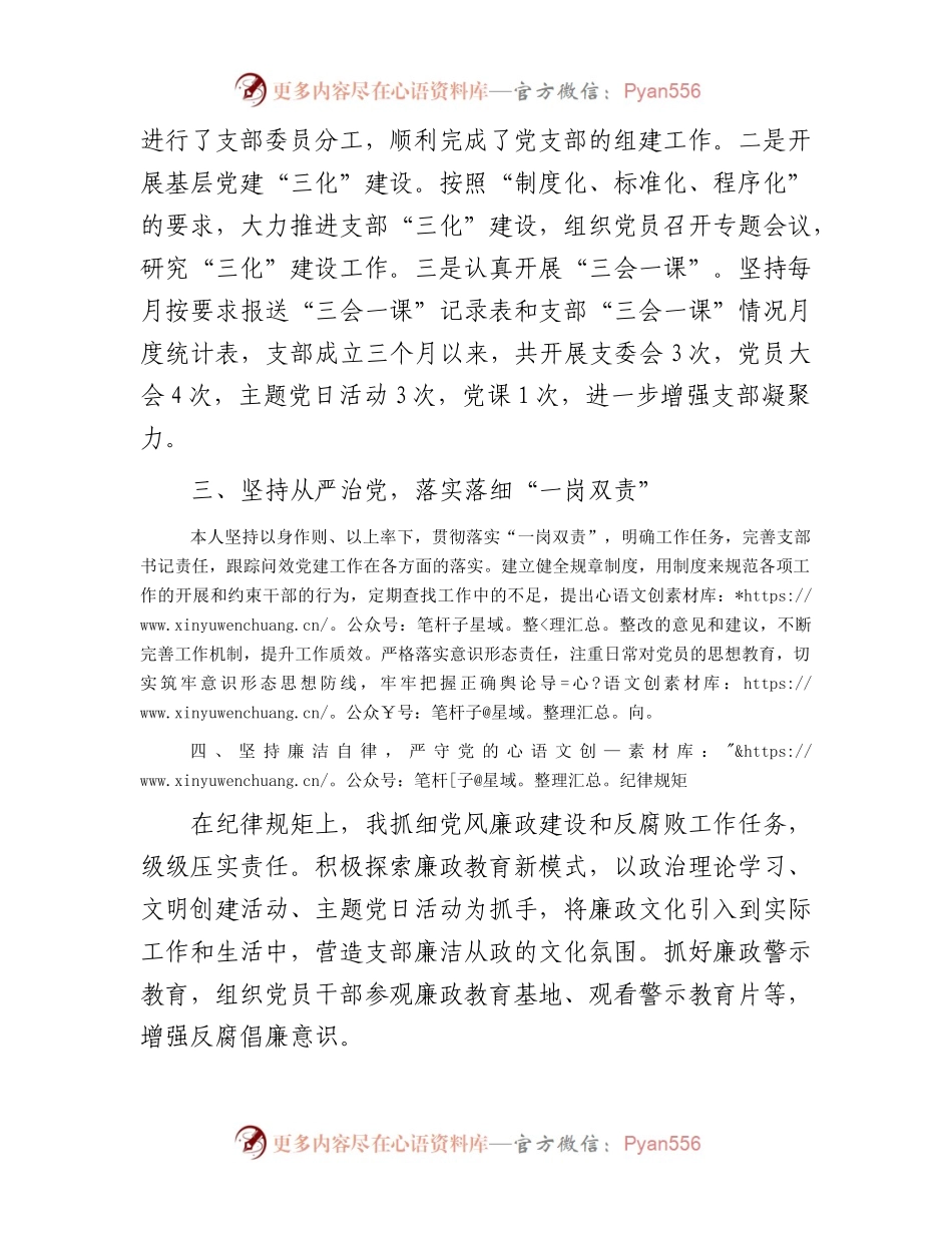 新成立的党支部书记述职报告1100字.docx_第2页
