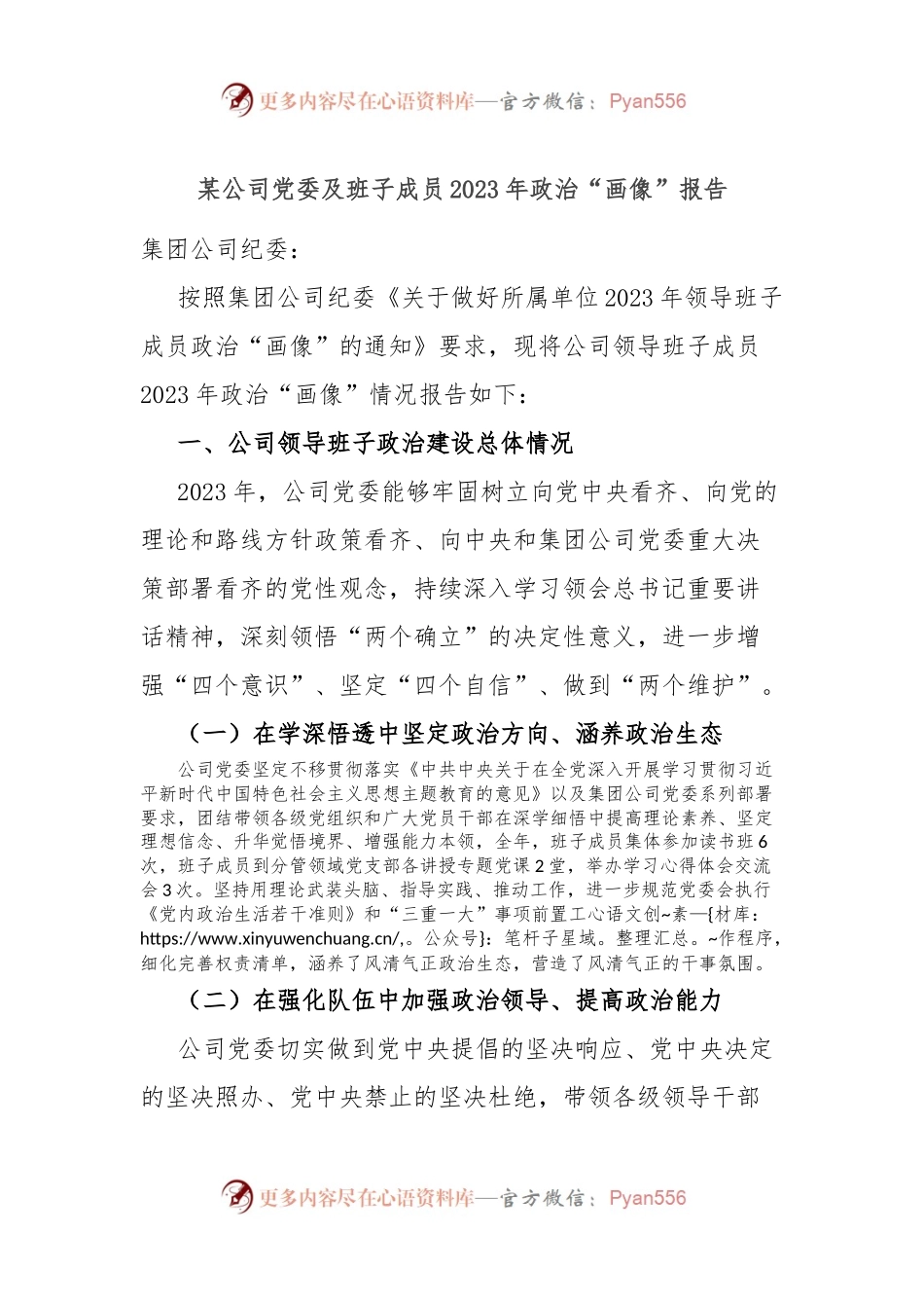 某公司党委及班子成员2023年政治“画像”报告.docx_第1页