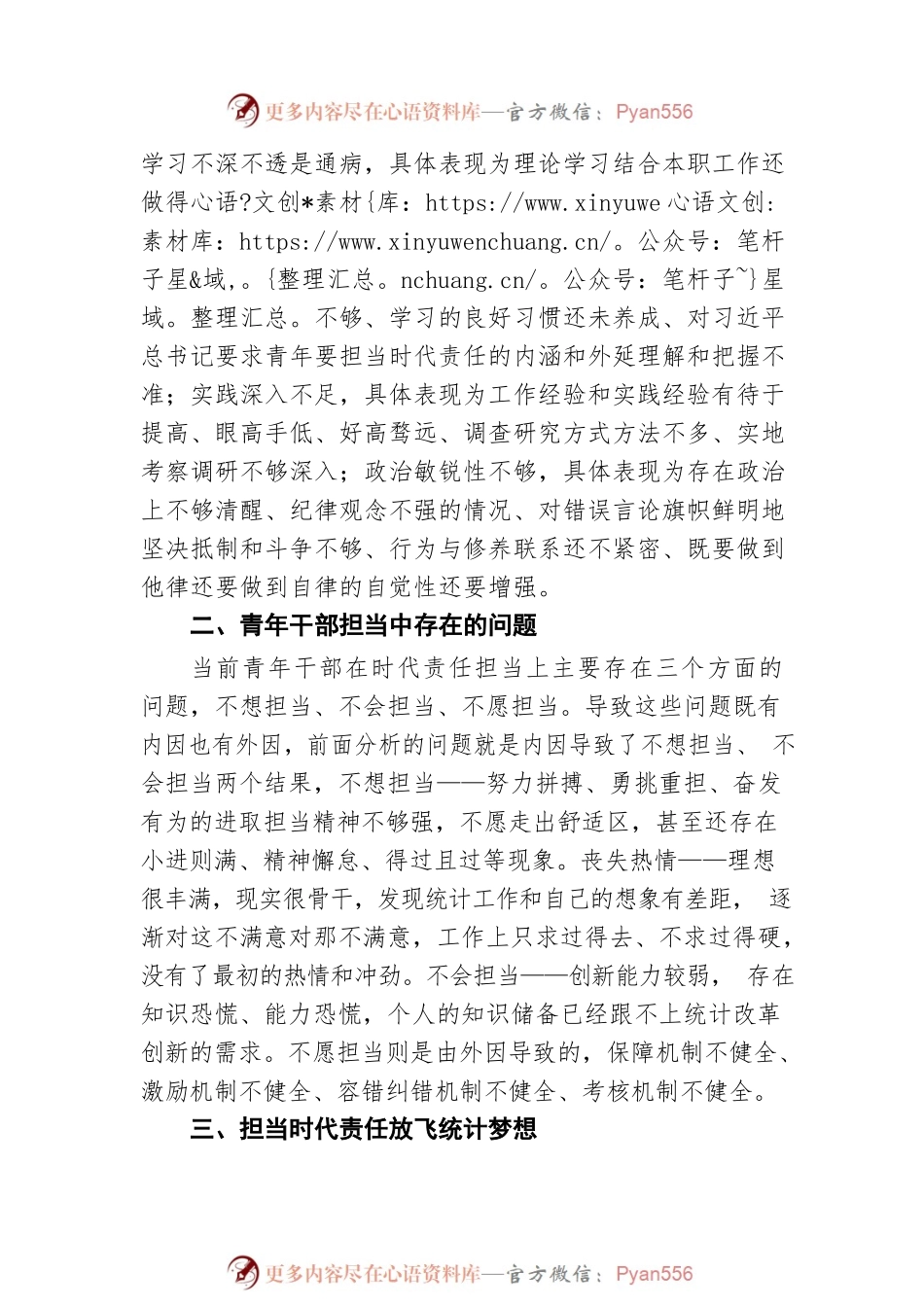 用青年干部的担当放飞统计梦想.docx_第2页