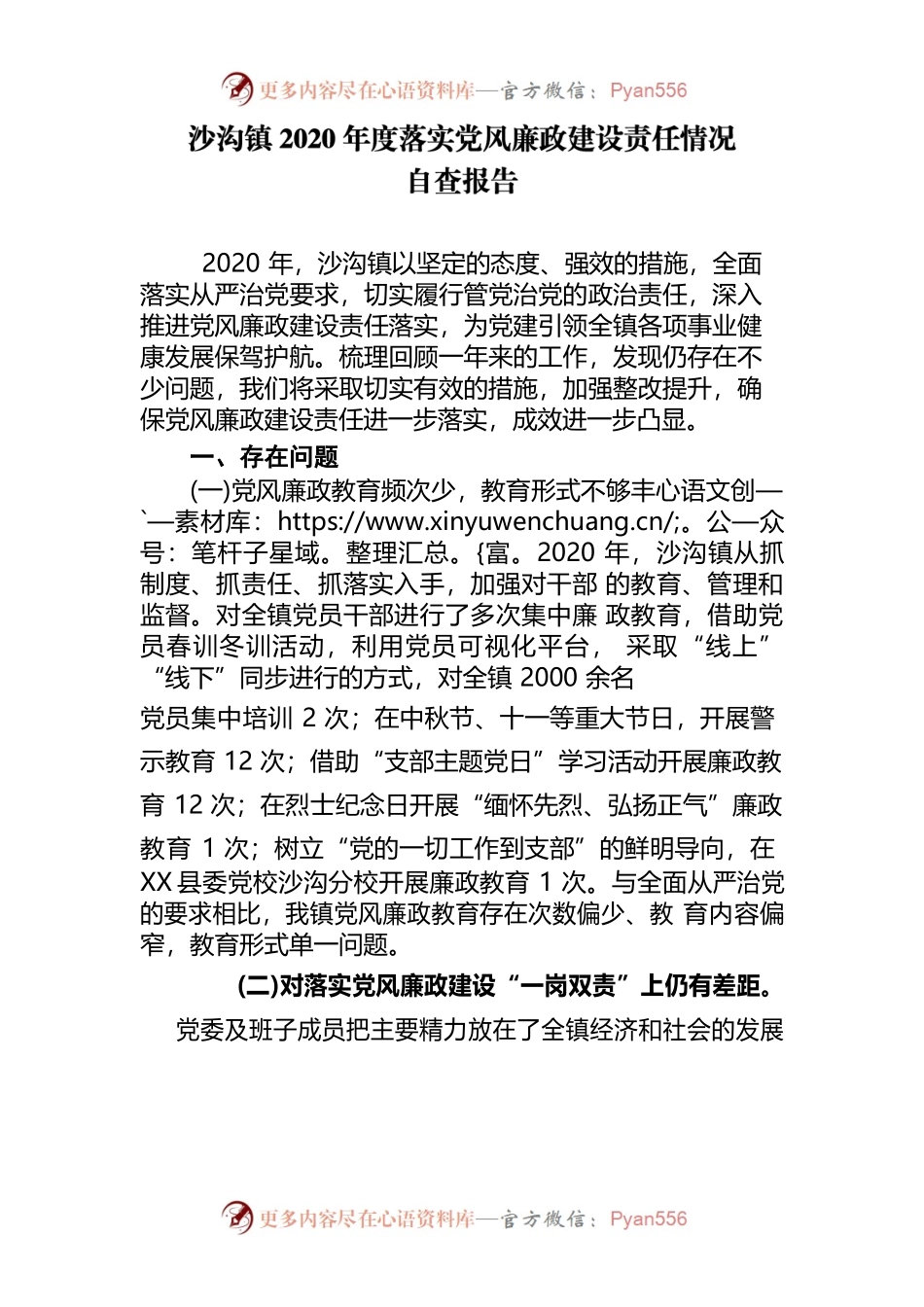 沙沟-党风廉政建设自查报告.docx_第1页