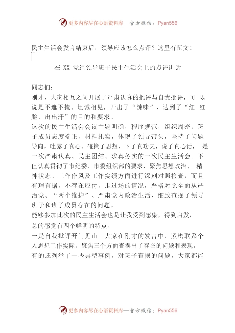 民主生活会发言结束后，领导应该怎么点评？这里有范文.docx_第1页