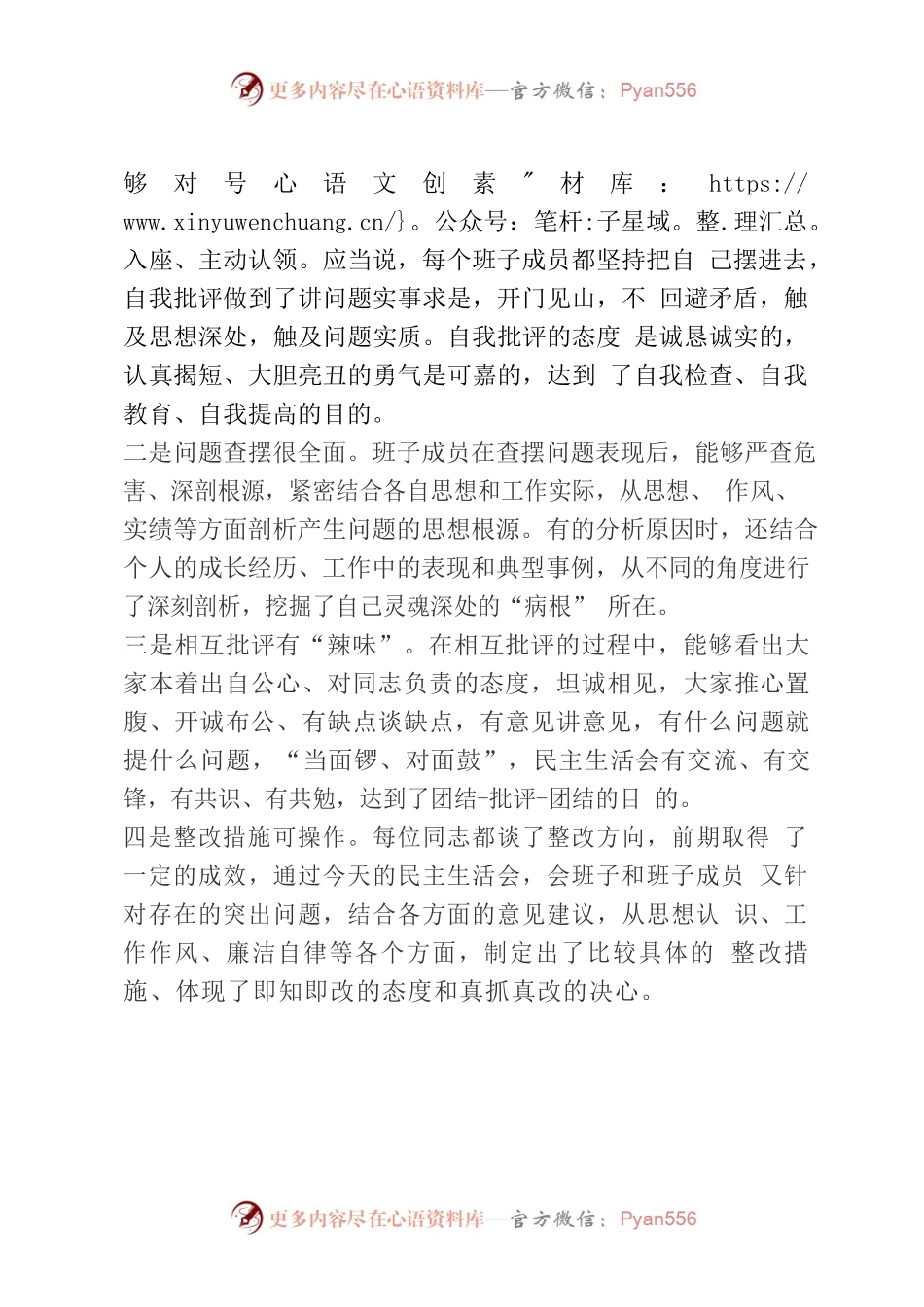 民主生活会发言结束后，领导应该怎么点评？这里有范文.docx_第2页