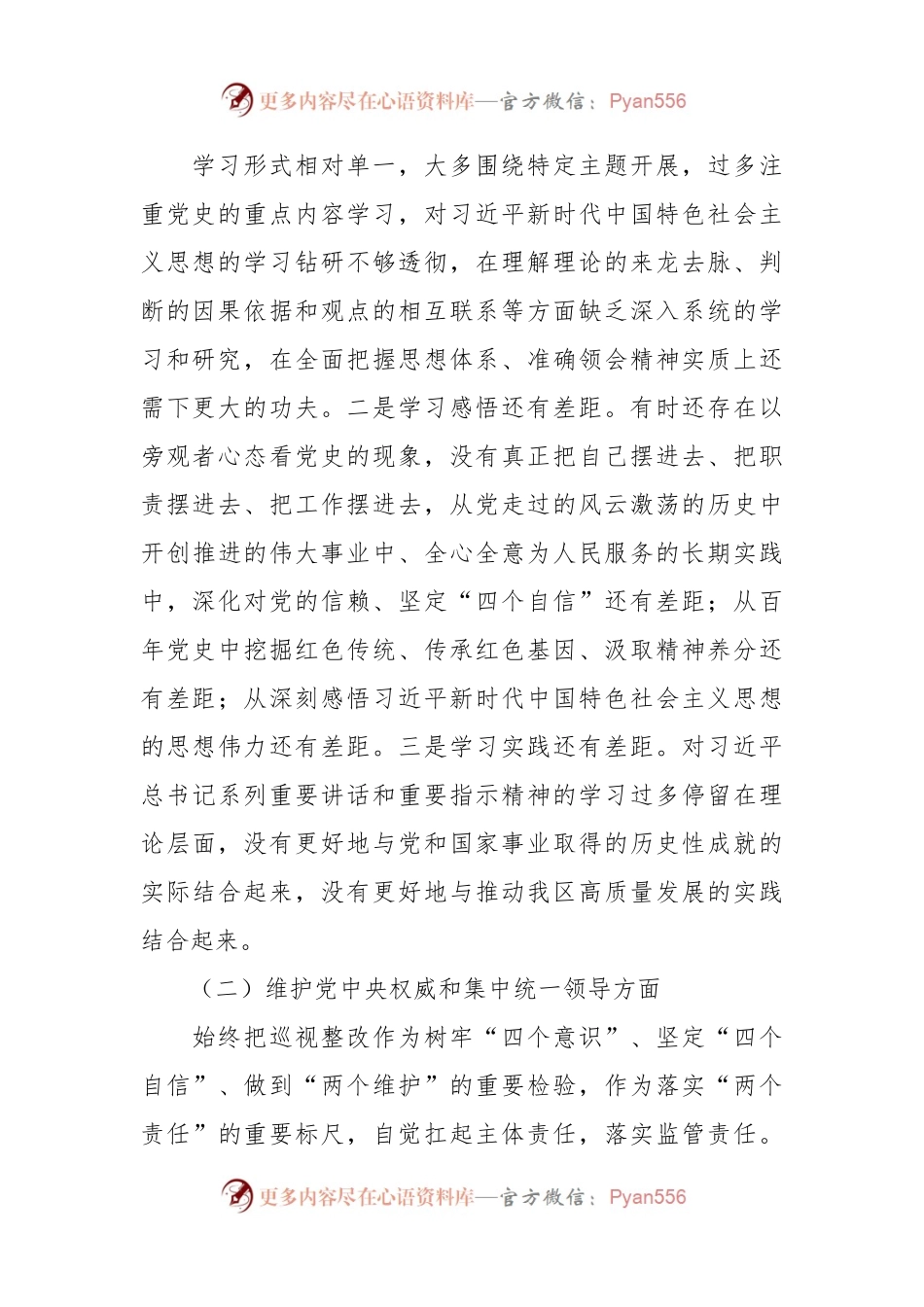 班子成员第二批主题教育专题民主生活会对照检查材料.docx_第2页