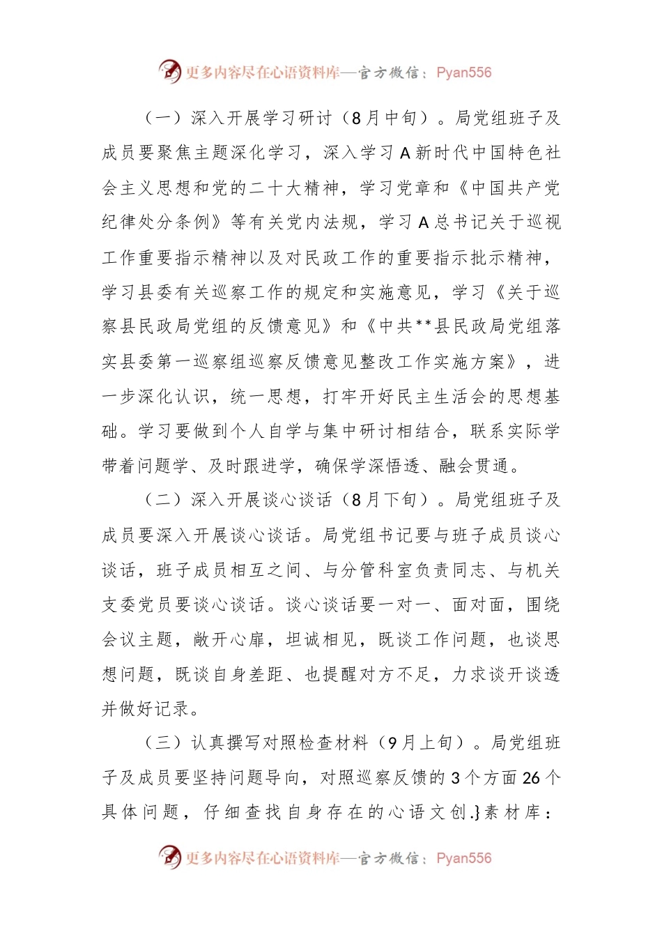 有关民政巡察反馈意见整改工作专题民主生活会实施方案.docx_第2页
