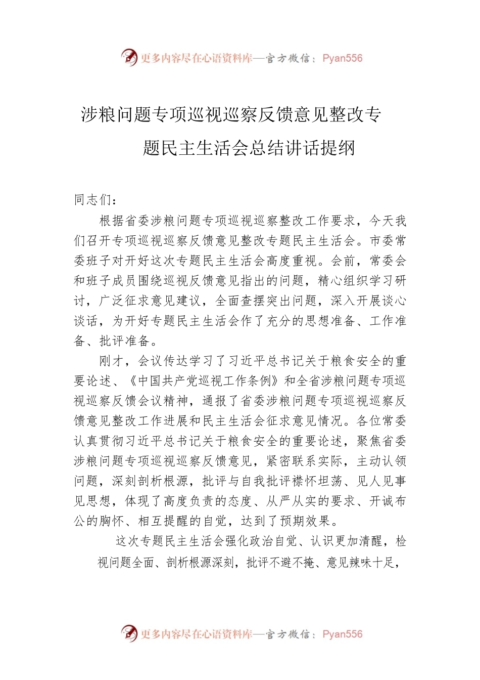 涉粮问题专项巡视巡察反馈意见整改专题民主生活会总结讲话提纲.docx_第1页