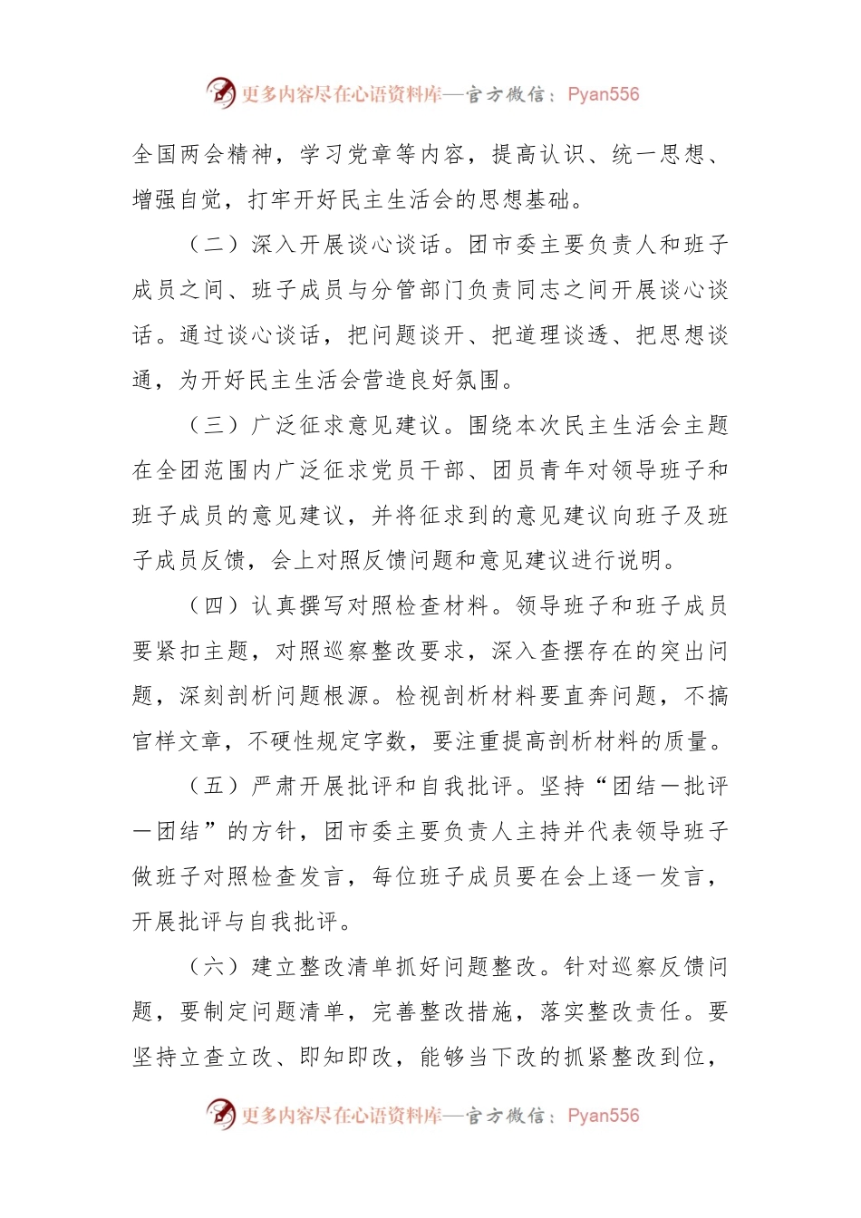 某团市委巡察整改专题民主生活会会议方案.docx_第2页