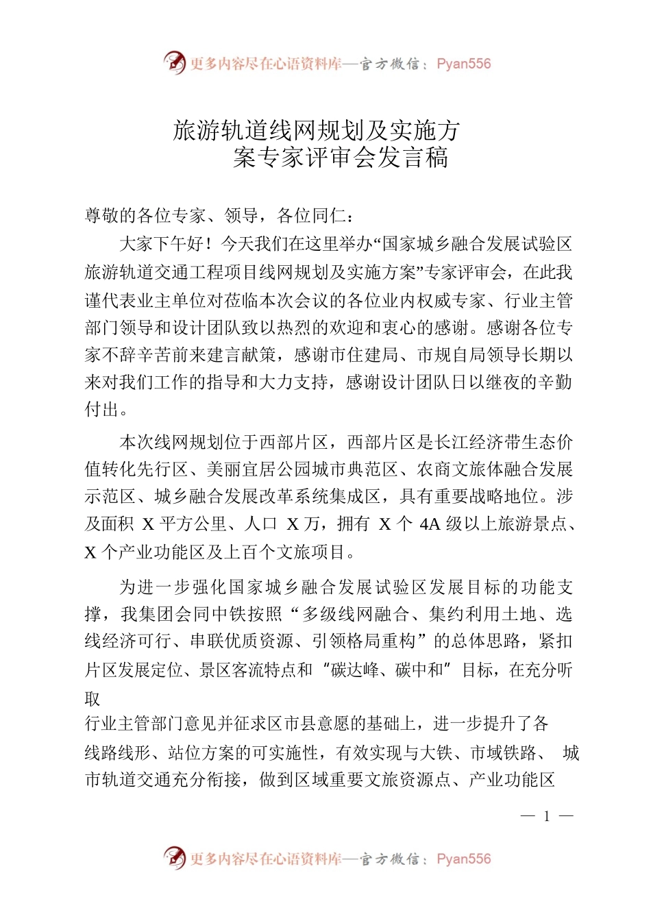 旅游轨道线网规划及实施方案专家评审会发言稿.docx_第1页
