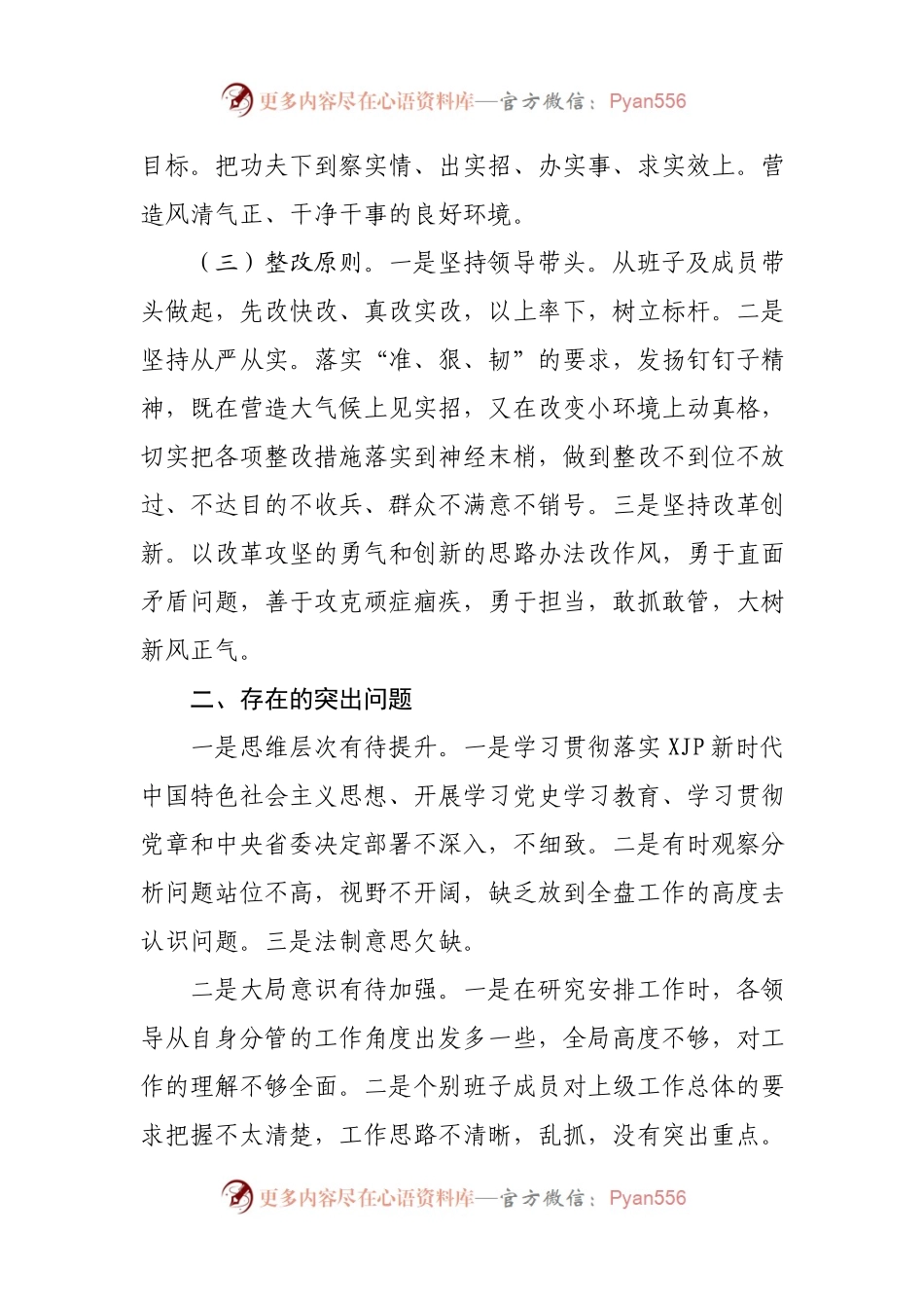 生活会28：党史学习教育组织生活会班子整改方案.docx_第2页