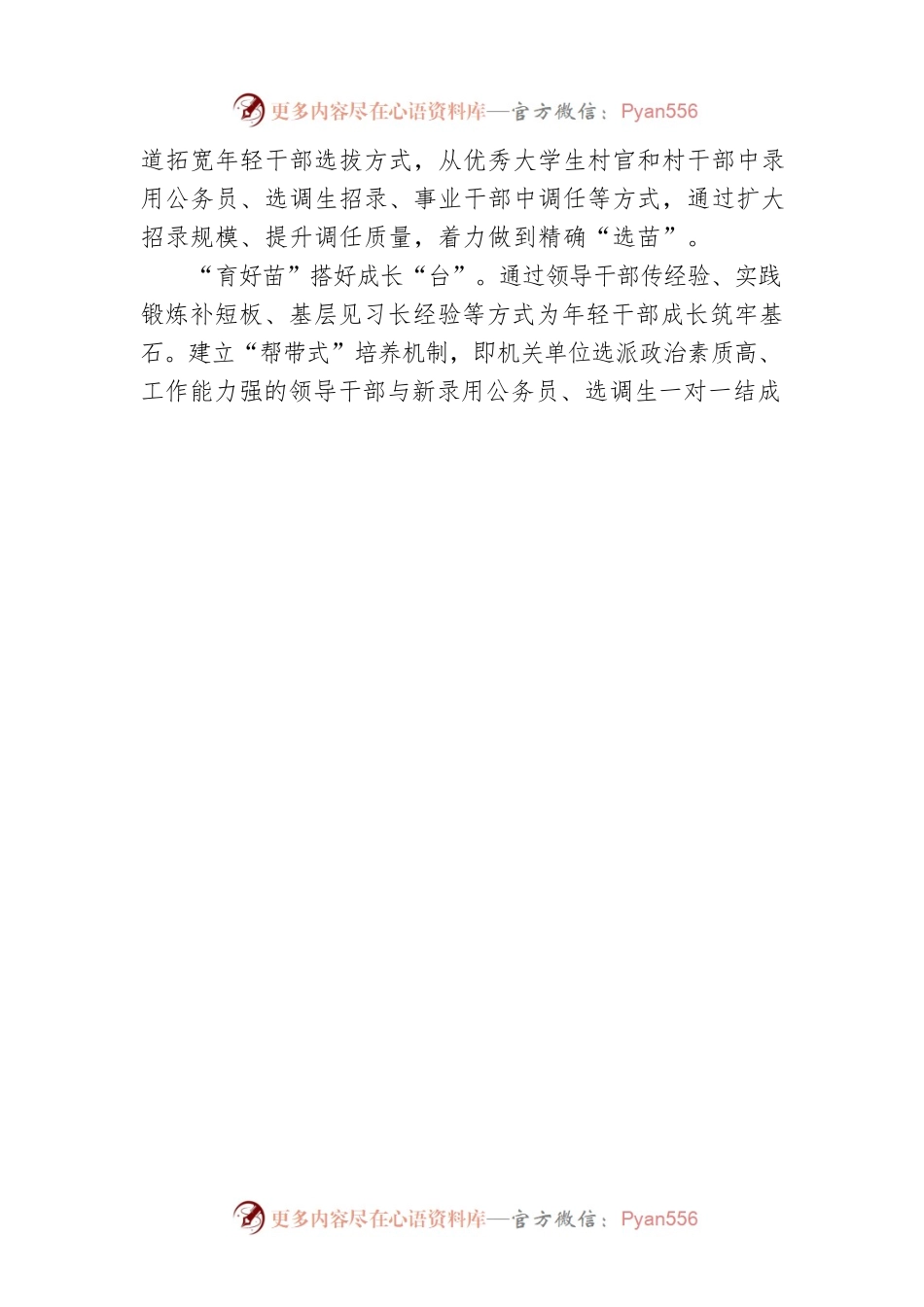 王丹：“苗圃式”构建年轻干部培育链.docx_第2页